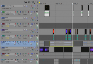 Snapshop of the timeline in Sony Vegas