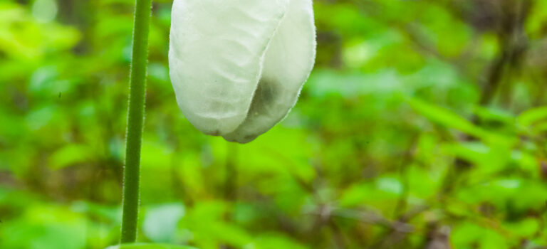 You Can’t Always Get What You Want (part 2)